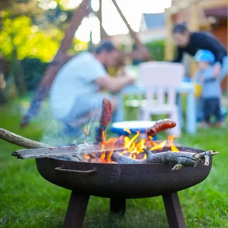 Ptasie Radio Деревянный коттедж *