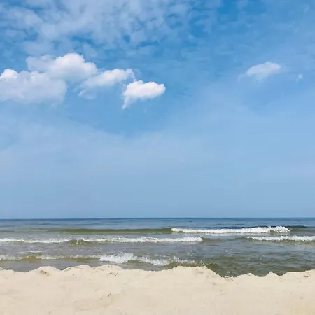 Ptasie Radio Реваль