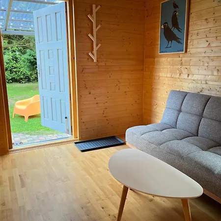 Ptasie Radio * Реваль