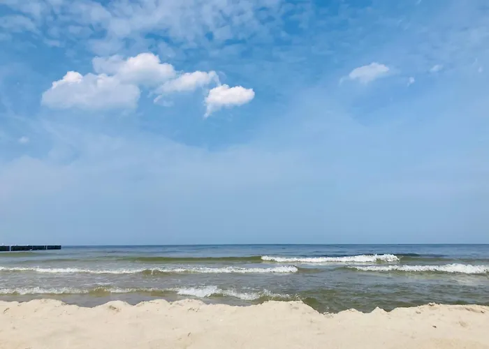 Ptasie Radio Реваль