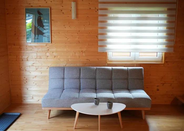 Деревянный коттедж Ptasie Radio